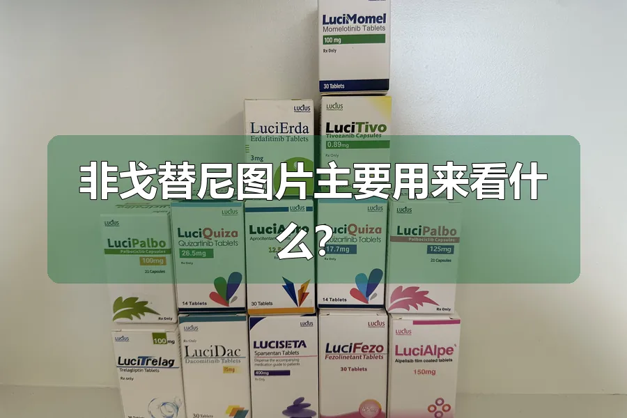 非戈替尼图片主要用来看什么？